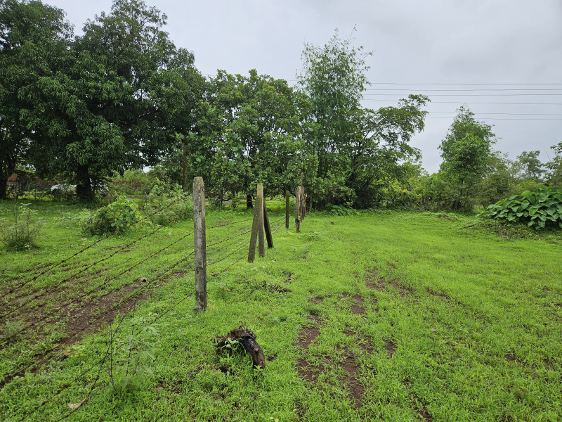  Agricultural Land 5 Acre for Sale in Roha, Raigad