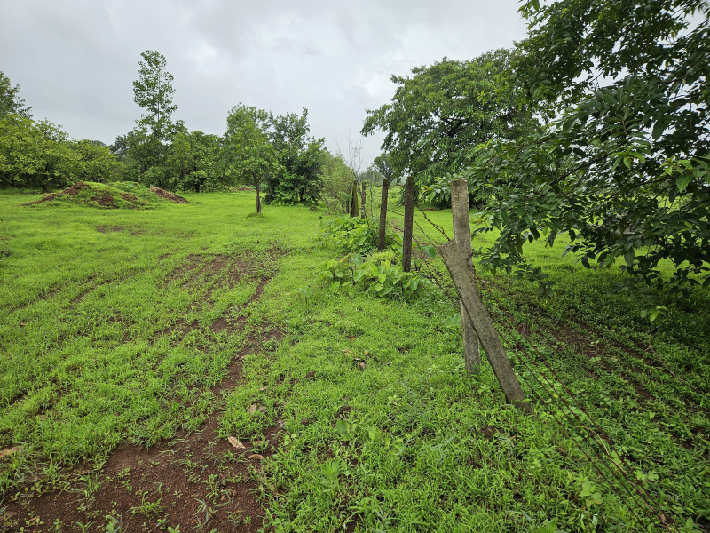  Agricultural Land 5 Acre for Sale in Roha, Raigad