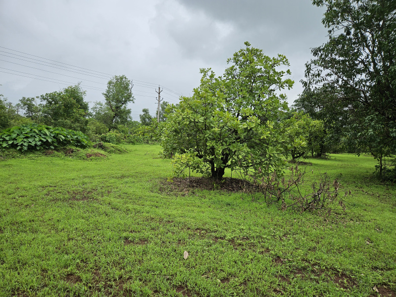  Agricultural Land 5 Acre for Sale in Roha, Raigad