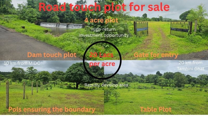  Agricultural Land 4 Acre for Sale in Mangaon, Raigad
