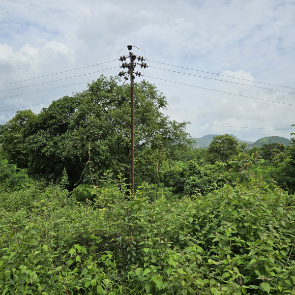 21000 Sq. Meter Agricultural/Farm Land for Sale in Mangaon, Raigad