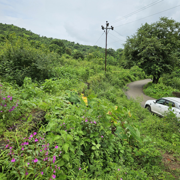  21000 Sq. Meter Agricultural/Farm Land for Sale in Mangaon, Raigad