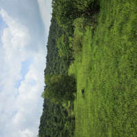  Agricultural Land for Sale in Tala, Raigad