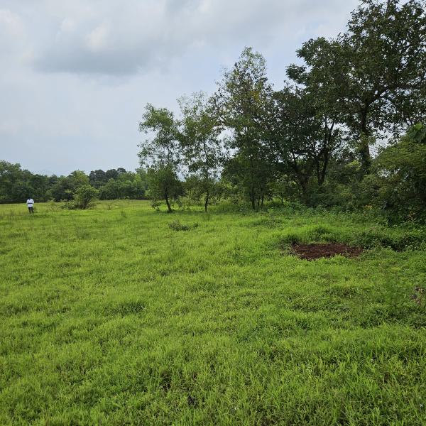  Agricultural Land 18 Acre for Sale in Tala, Raigad