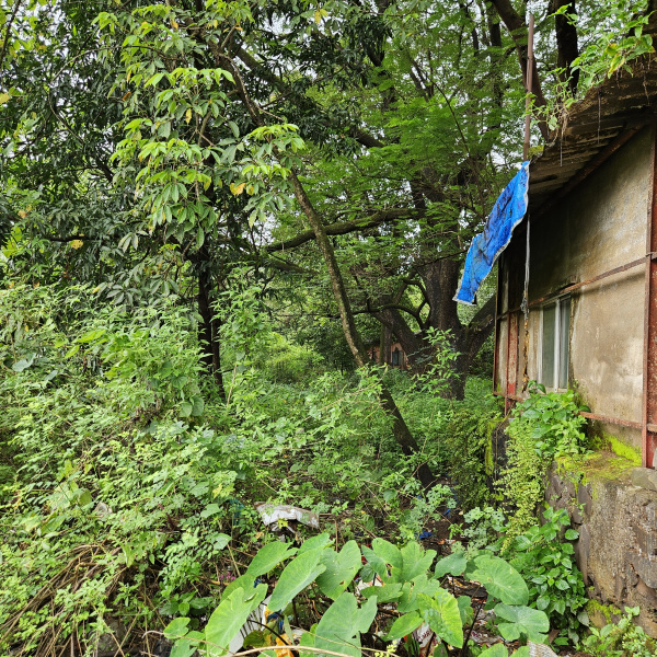  Residential Plot 1000 Sq. Meter for Sale in Mahad, Raigad