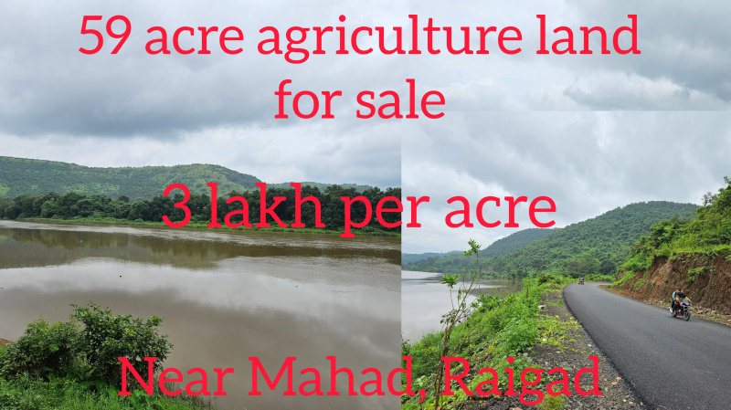  Agricultural Land 59 Acre for Sale in Mahad, Raigad