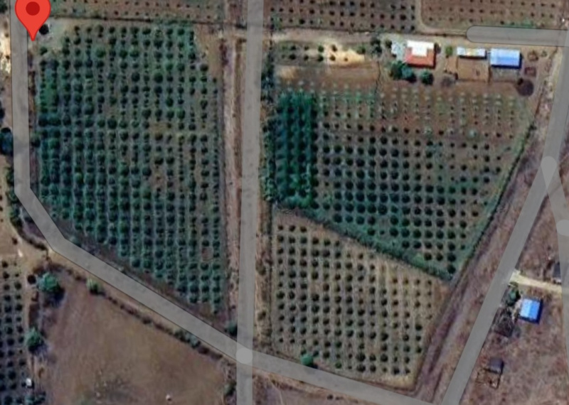  Agricultural Land 6 Acre for Sale in Katol, Nagpur