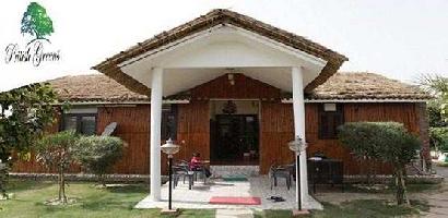 2 BHK Farm House for Sale in Sector 16 Greater Noida West