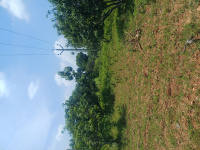  Agricultural Land for Sale in Palacode, Dharmapuri