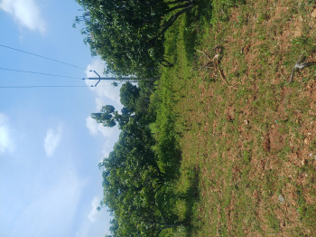  Agricultural Land for Sale in Palacode, Dharmapuri