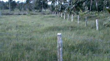  Residential Plot for Sale in Chittur Thathamangalam, Palakkad