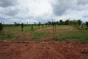  Residential Plot for Sale in Tagarapuvalasa, Visakhapatnam