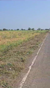  Agricultural Land for Sale in Panagar, Jabalpur