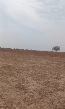  Agricultural Land for Sale in Nai Garhi, Rewa