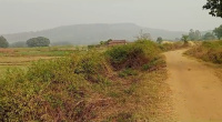 Agricultural Land for Sale in Maihar, Satna