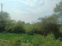  Agricultural Land for Sale in Adhartal, Jabalpur