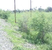  Agricultural Land for Sale in Jabera, Damoh