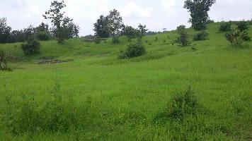  Agricultural Land for Sale in Hatta, Damoh