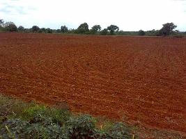  Agricultural Land for Sale in Panagar, Jabalpur