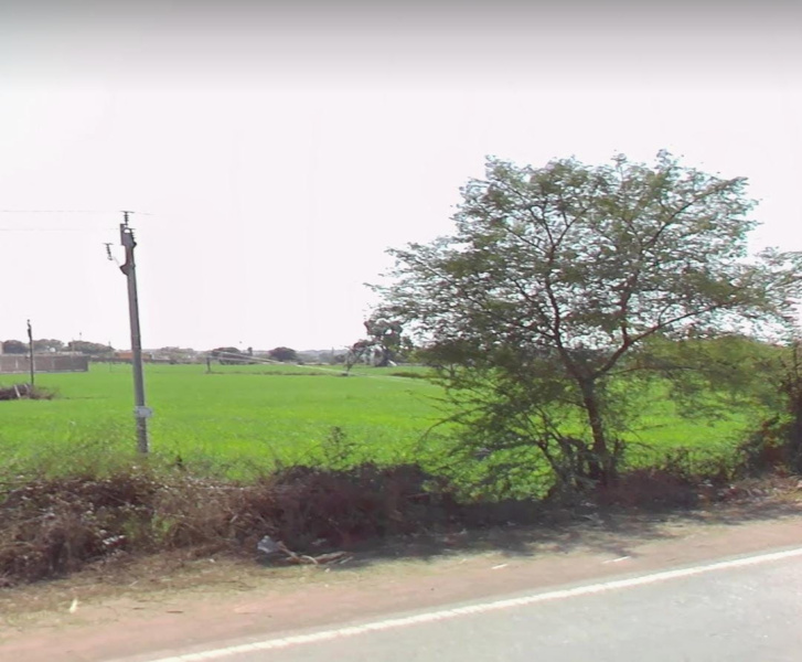  Industrial Land 12 Bigha for Sale in Bhitarwar, Gwalior