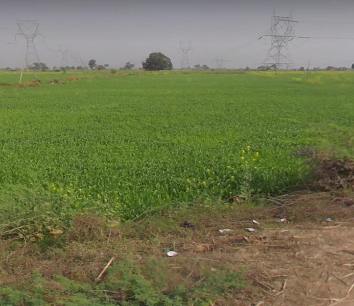  Agricultural Land 60 Bigha for Sale in Bhitarwar, Gwalior