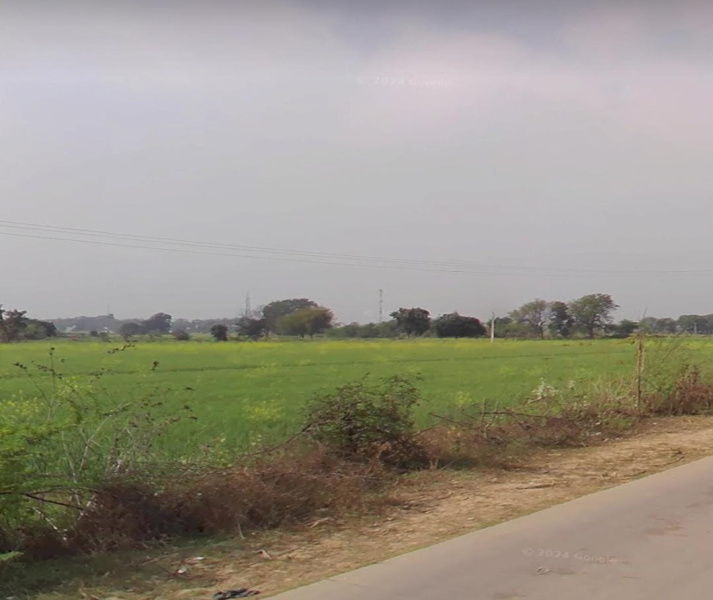  Agricultural Land 60 Bigha for Sale in Bhitarwar, Gwalior