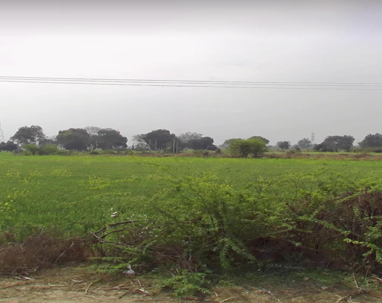  Agricultural Land 60 Bigha for Sale in Bhitarwar, Gwalior