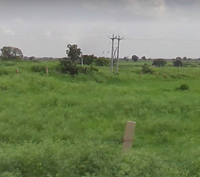  Agricultural Land 100 Bigha for Sale in Ghatigaon, Gwalior