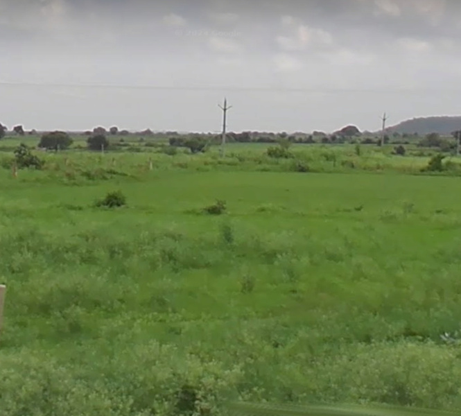  Agricultural Land 100 Bigha for Sale in Ghatigaon, Gwalior