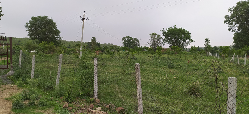 Agricultural Land 150 Bigha for Sale in Ghatigaon, Gwalior