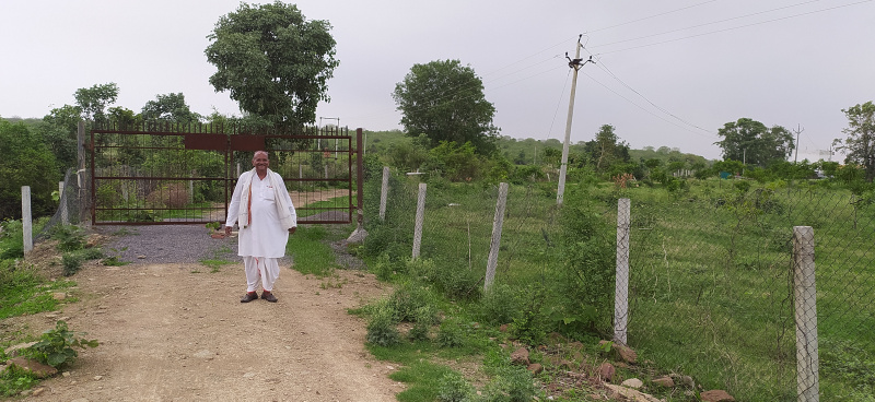  Agricultural Land 150 Bigha for Sale in Ghatigaon, Gwalior