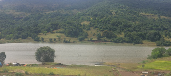  Residential Plot for Sale in Igatpuri, Nashik