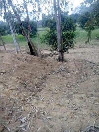  Agricultural Land for Sale in Malihabad, Lucknow