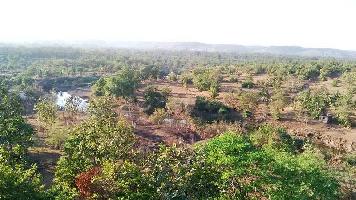  Residential Plot for Sale in Shahapur, Thane