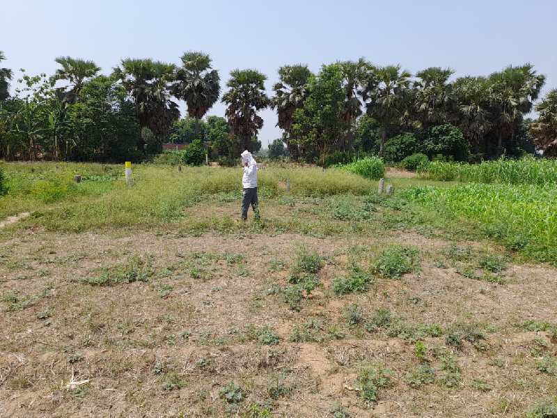  Residential Plot 20000 Sq.ft. for Sale in Dumra, Sitamarhi