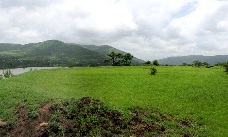 Agricultural Land 3000 Sq.ft. for Sale in Hinjewadi, Pune