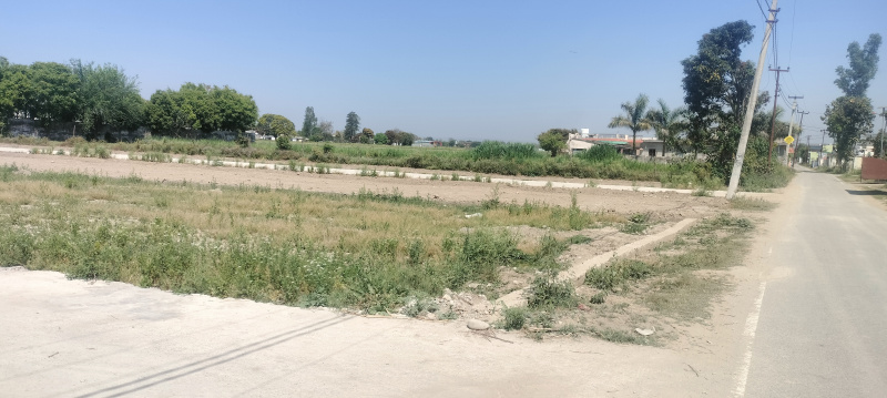  Residential Plot 120 Sq. Yards for Sale in Resham Majri, Dehradun