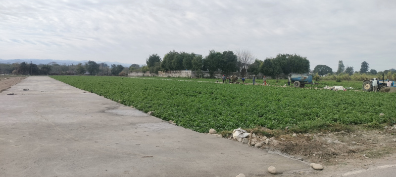  Residential Plot 120 Sq. Yards for Sale in Resham Majri, Dehradun