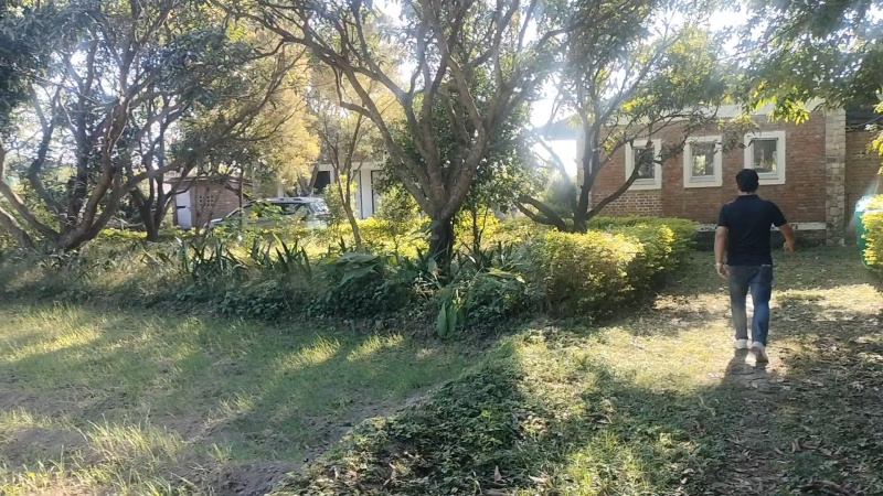 2 BHK 6 Bigha Farm House for Sale in Shankerpur Hakumatpur, Dehradun