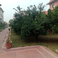  Residential Plot for Sale in Jawaharnagar Colony, Khandari, Agra