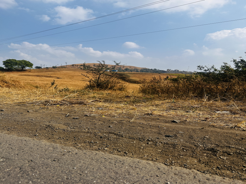  Agricultural Land 4 Acre for Sale in Igatpuri, Nashik