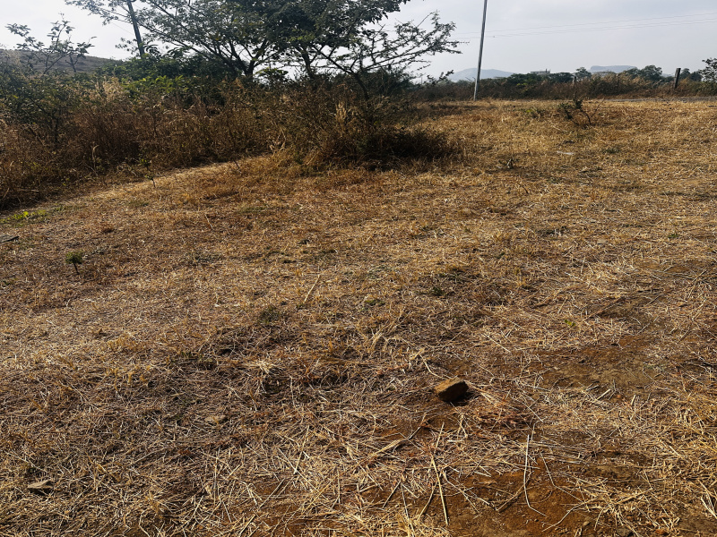  Agricultural Land 4 Acre for Sale in Igatpuri, Nashik