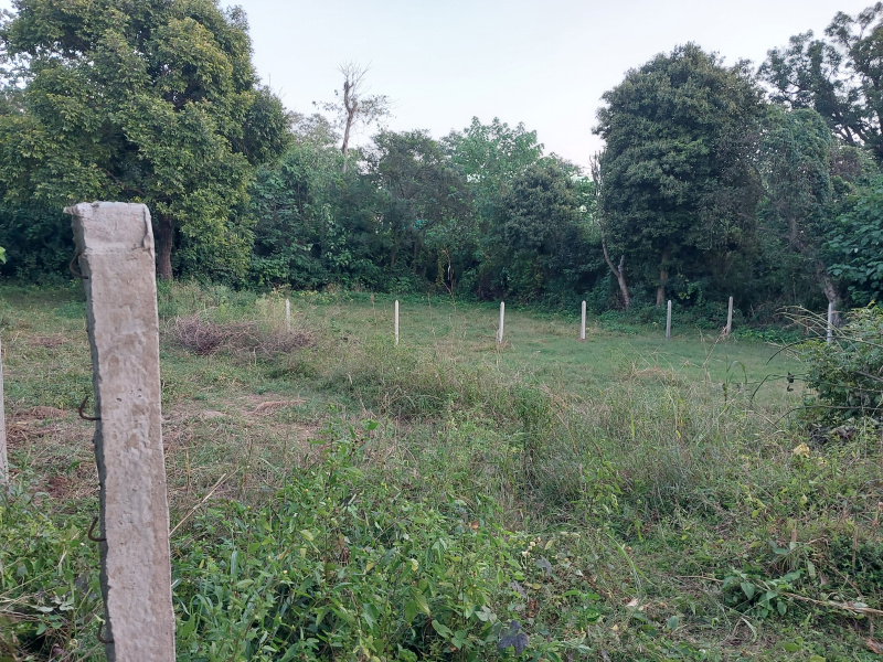 Agricultural Land 20 Marla for Sale in Amb, Una