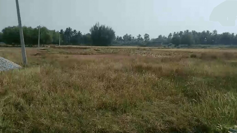 Malatipatpur, Puri photo 2