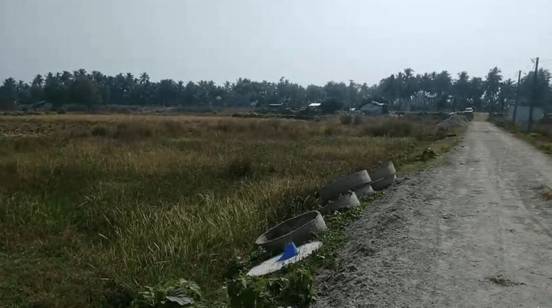 Malatipatpur, Puri photo 3