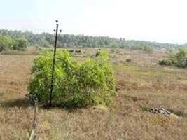  Residential Plot for Sale in Lohegaon, Pune