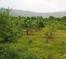  Residential Plot for Sale in Lohegaon, Pune