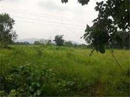  Residential Plot for Sale in Lohegaon, Pune