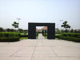  Residential Plot for Sale in Sector 8 Sonipat