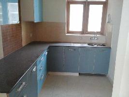 2 BHK Flat for Rent in Sector 8 Sonipat
